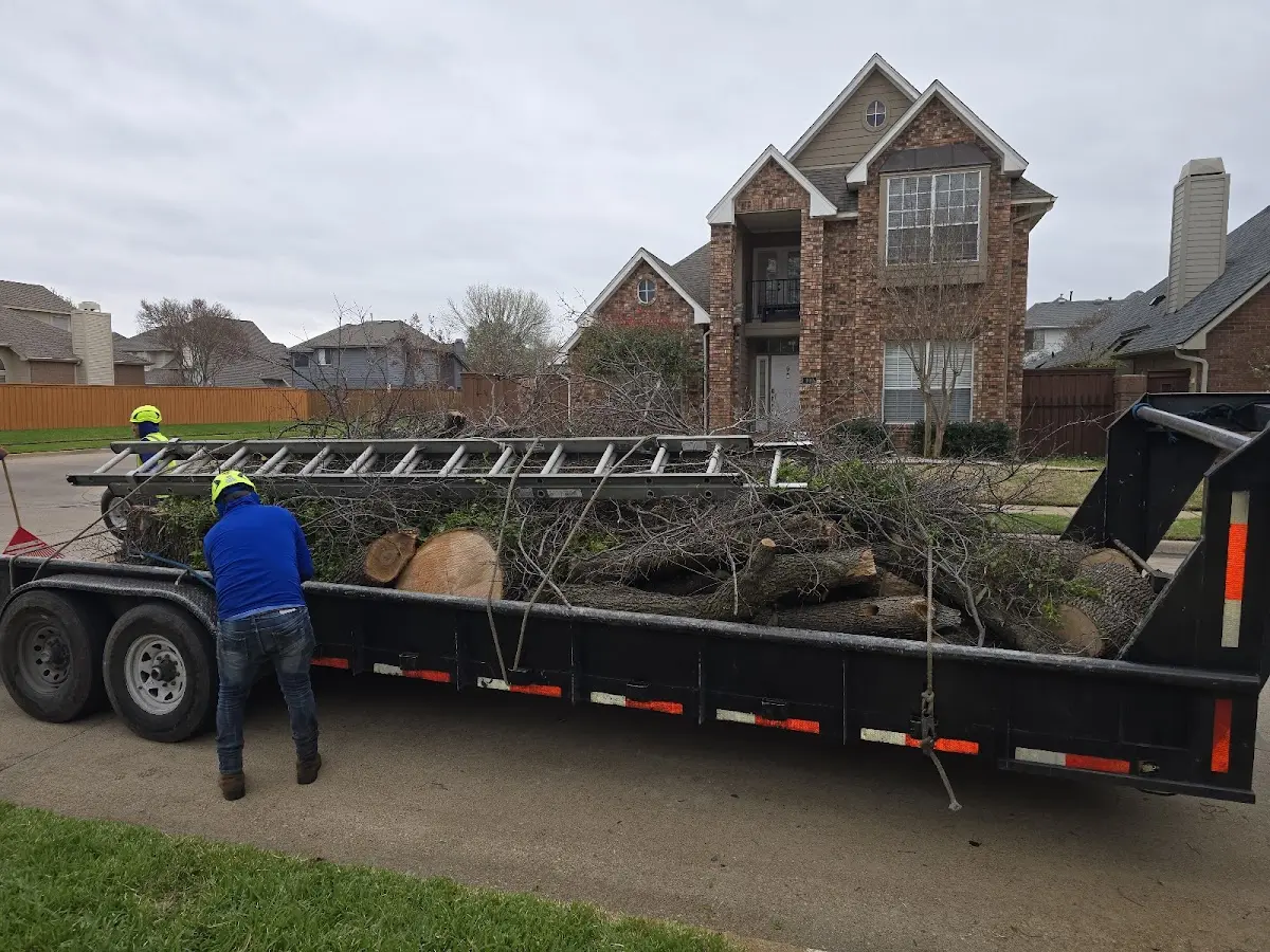 Expert Tree Removal with proper safety equipment in Landrum